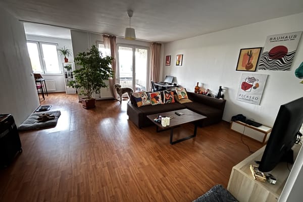 House sit in Berlin, Germany