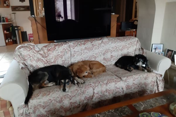 House sit in Chaniá, Greece