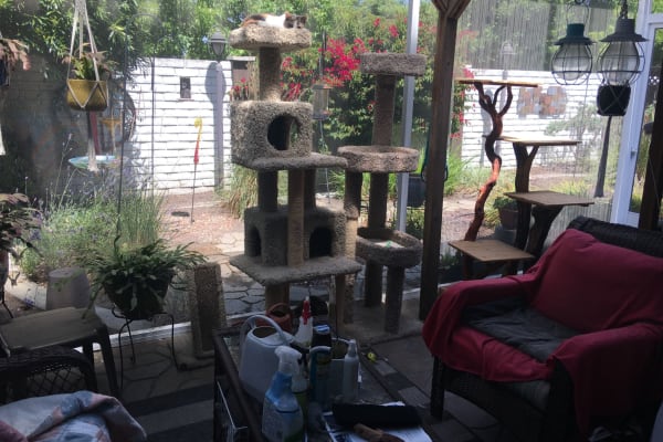 House sit in Fremont, CA, US