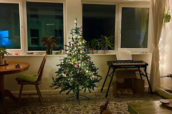 House sit in Royal Tunbridge Wells, United Kingdom