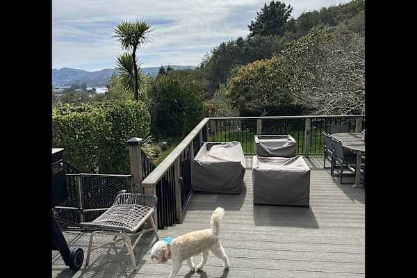 House sit in Mill Valley, CA, US