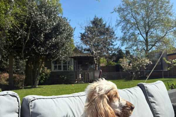 House sit in Hunstanton, United Kingdom