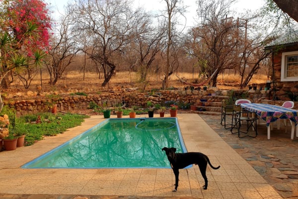 House sit in Hoedspruit, South Africa