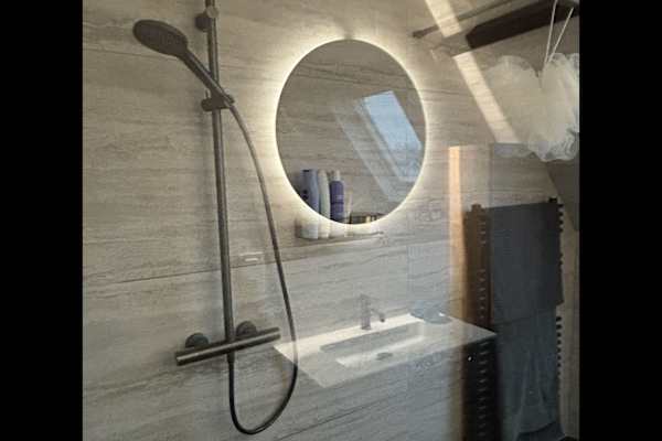 House sit in Gent, Belgium
