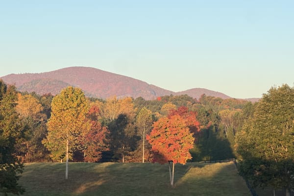 House sit in Lake Lure, NC, US