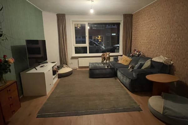 House sit in Utrecht, Netherlands