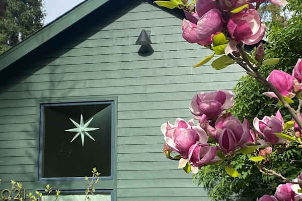 House sit in Oakland, CA, US