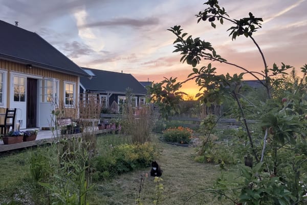 House sit in Almere Stad, Netherlands