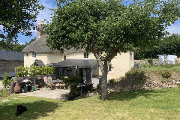 House sit in Totnes, United Kingdom