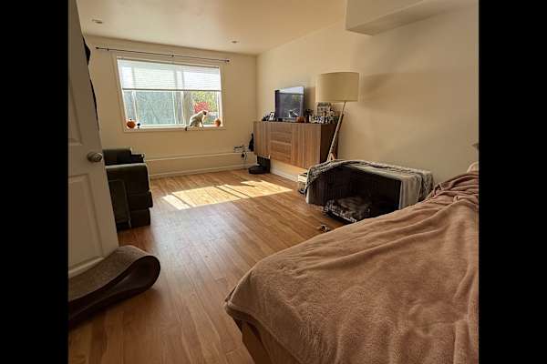 House sit in Daly City, CA, US