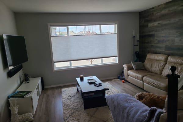 House sit in Calgary, AB, Canada