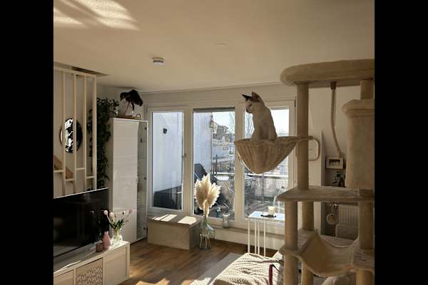 House sit in Langenargen, Germany