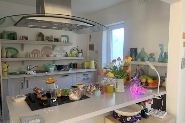 House sit in Gaillimh, Ireland