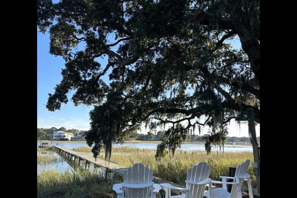 House sit in Charleston, SC, US