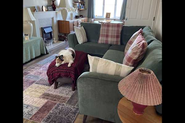 House sit in Fowey, United Kingdom