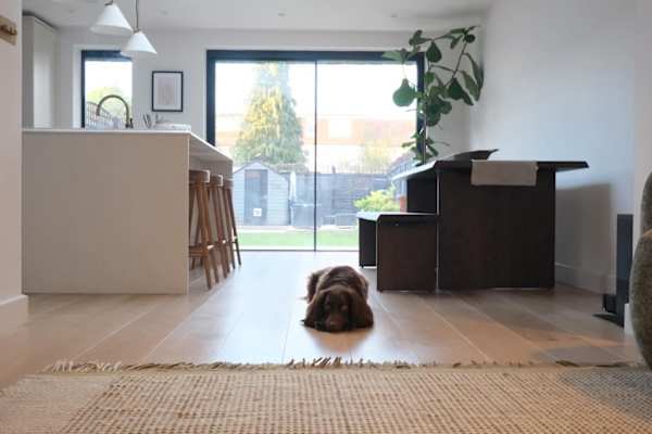 House sit in Streatham, United Kingdom