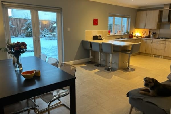 House sit in Peebles, United Kingdom