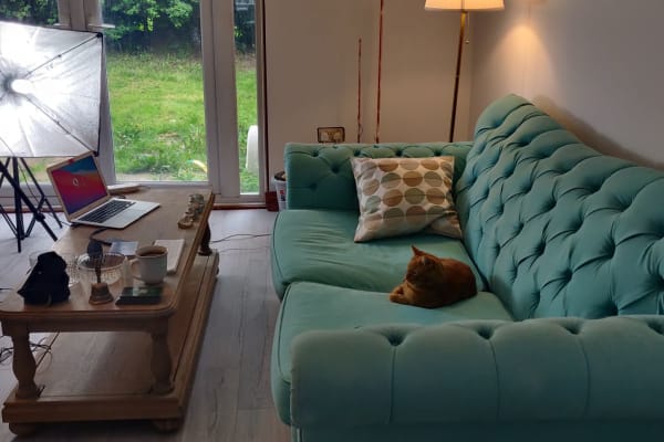 House sit in Frodsham, United Kingdom