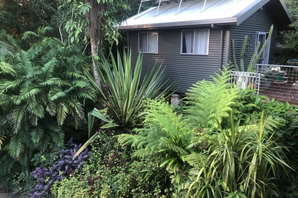 House sit in Bellingen, NSW, Australia