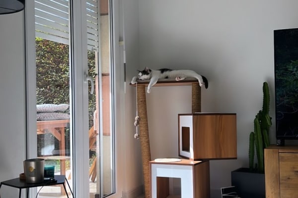 House sit in Nyon, Switzerland