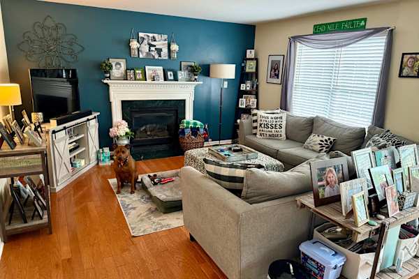 House sit in Wilmington, DE, US
