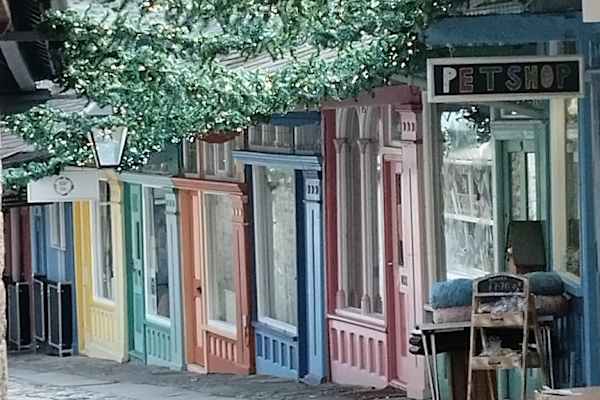 House sit in Kendal, United Kingdom