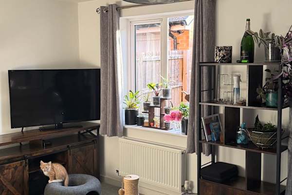 House sit in Leighton Buzzard, United Kingdom