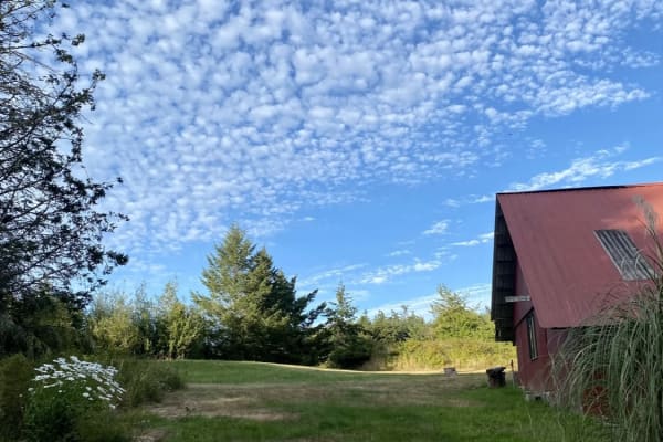 House sit in Friday Harbor, WA, US