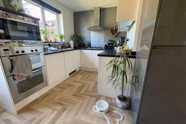 House sit in Darwen, United Kingdom