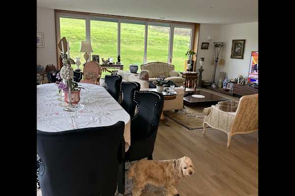 House sit in Ventnor, United Kingdom