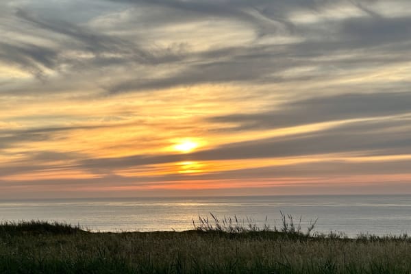 House sit in Foz do Arelho, Portugal
