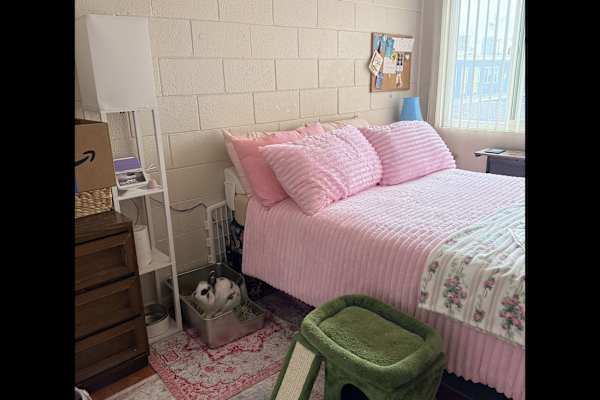 House sit in Oakland, CA, US