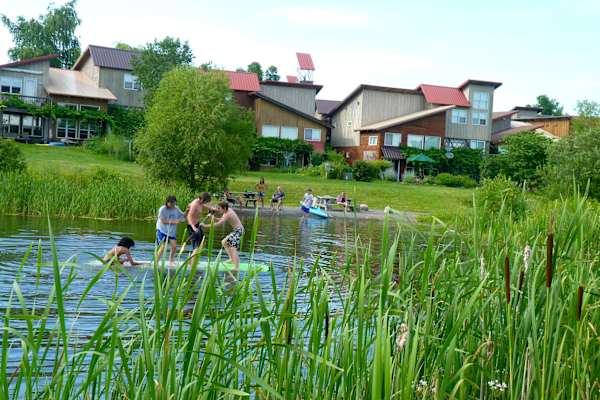 House sit in Ithaca, NY, US