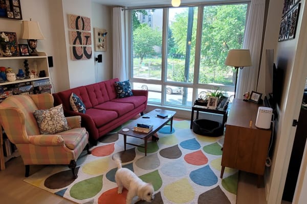House sit in Brooklyn, NY, US