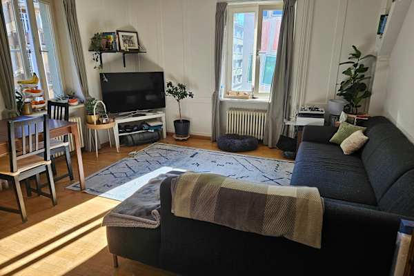 House sit in Zürich, Switzerland