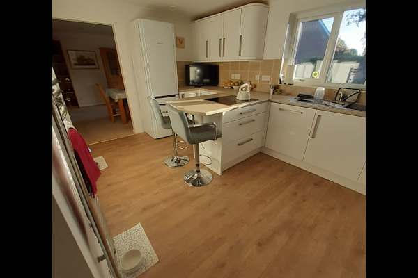 House sit in Swindon, United Kingdom
