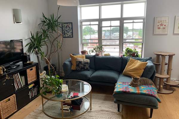 House sit in Brooklyn, NY, US