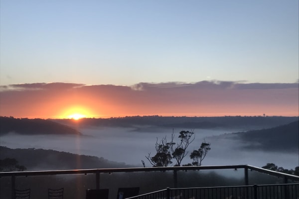House sit in Sydney, NSW, Australia