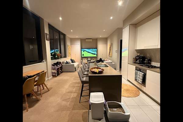 House sit in Sydney, NSW, Australia