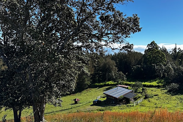 House sit in Pa‘auilo, HI, US