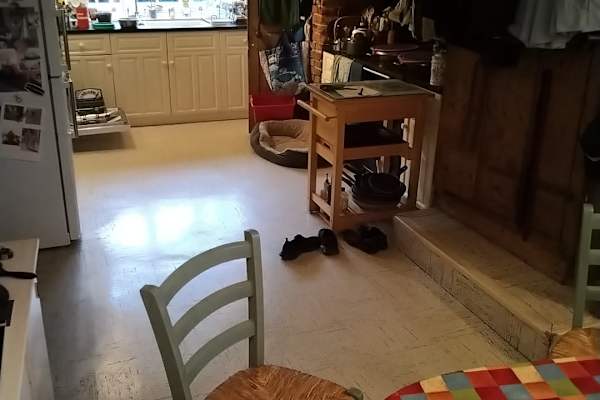 House sit in Hurstpierpoint, United Kingdom