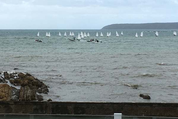 House sit in Plimmerton, New Zealand