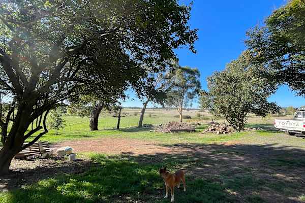 House sit in Kyneton, VIC, Australia