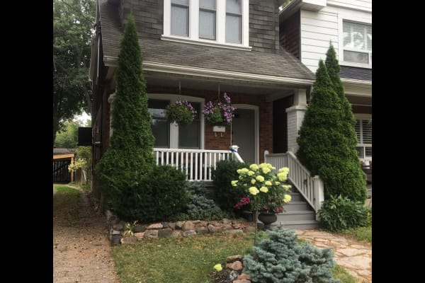 House sit in Midtown Toronto, ON, Canada