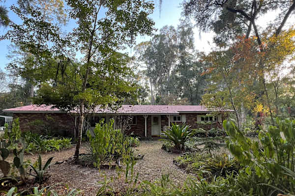 House sit in Gainesville, FL, US