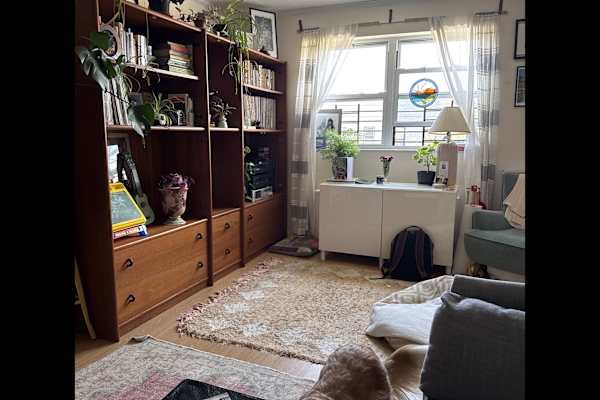 House sit in Bushwick, NY, US