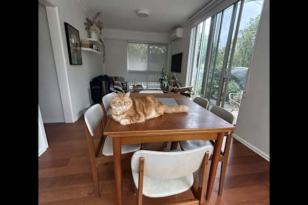 House sit in Melbourne, VIC, Australia
