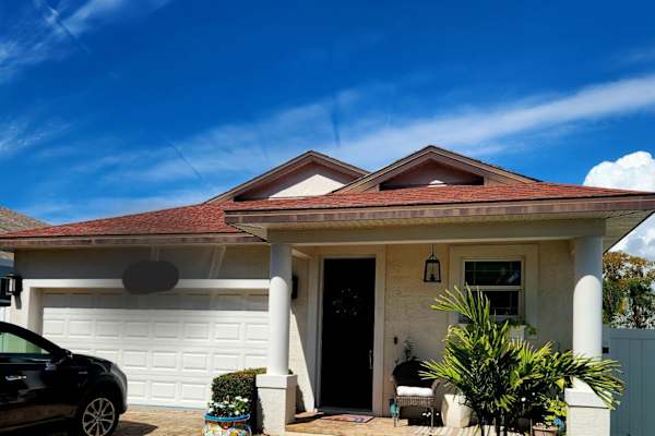 House sit in St. Petersburg, FL, US