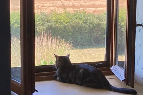 House sit in Sauzé-Vaussais, France