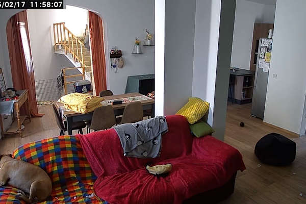 House sit in Żurrieq, Malta